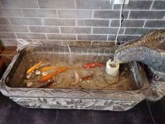 -又一福烤鸭·北京菜(东四店)