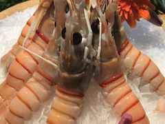 -萤初高端日料王(曲江银泰店)