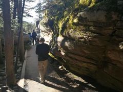 -阿萨巴斯卡瀑布观景点