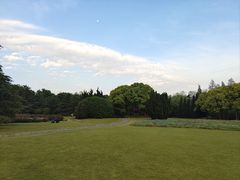 -上海滨江森林公园