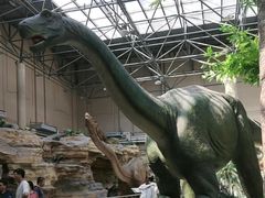 -国家自然博物馆