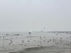 -老虎石海上公园