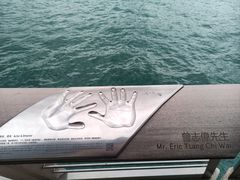 -星光大道