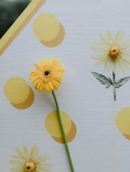 -天邑国际酒店·宴会厅