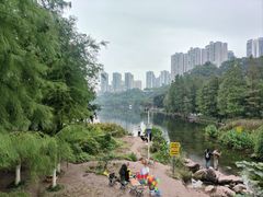 -重庆彩云湖湿地公园