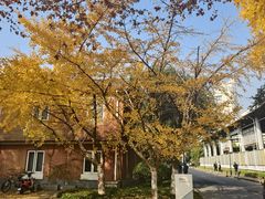 -超级鸡车(曹杨路店)