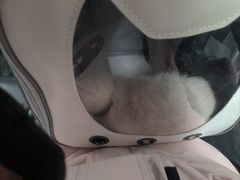 -联合动物医院(光谷诊疗中心)