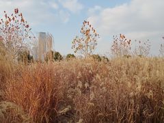 -上海山野camping·户外天幕烧烤·团建拓展营地