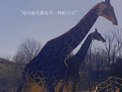 -济南野生动物世界