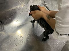-宠物世家(仲盛世界商城店)