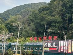 -广州市流溪河国家森林公园