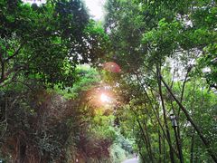 -小南山公园