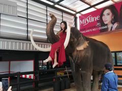 -东芭乐园