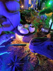 -恐龙探索乐园(磁器口店)