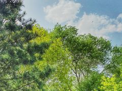 -长春市南湖公园