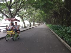 景点-大湾区中央湿地公园