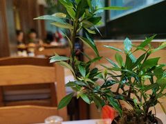 -莲池荟素食馆·12年老字号(光孝寺店)