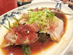 清蒸东星斑-新南华大酒店(长寿店)