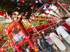 -越秀西湖花市(广州城市广场花卉店)