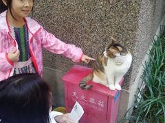 -巴金故居