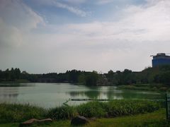 -尚贤河湿地
