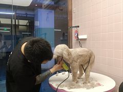-FAELING PETS美天灵宠物(富力广场店)