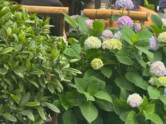 -听香·678茶铺(猛追湾店)