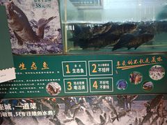 -老傅家湘潭水煮活鱼店(众一国际店)