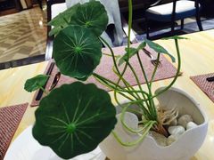 -西藏饭店·亚克·食光自助餐厅(文殊院店)