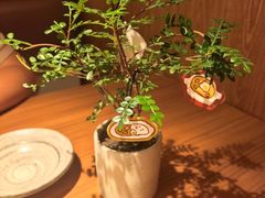 -CURRY YA 熟成咖哩專門店(深圳湾万象城店)