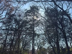 -井之头恩赐公园