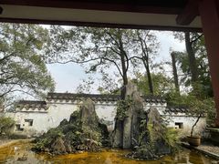-南山植物园