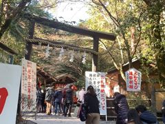 -野宫神社