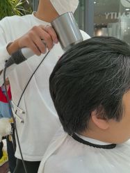 -爱维丽