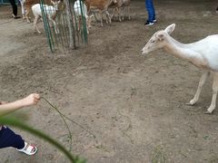 -北京麋鹿生态实验中心