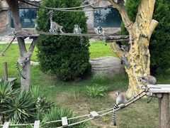 -大连森林动物园