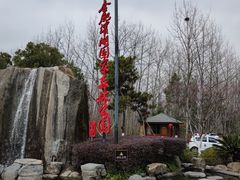 -合肥滨湖国家森林公园