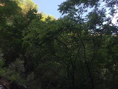 -北京上方山国家森林公园