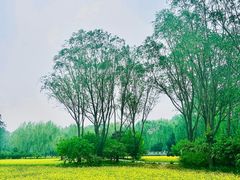 -北坞公园