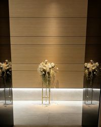 -恒美雅轩·品牌直营连锁