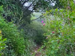 -阳台山自然风景区