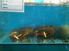 android_upload_pic-海滨假日渔家海鲜