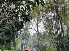 -广州兰圃