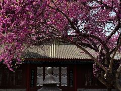 -万寿八仙宫
