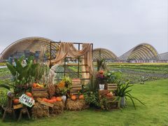 -中国天府农业博览园