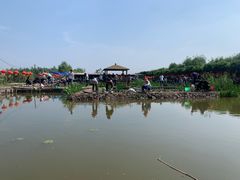 -同銮特种养殖场·龙虾垂钓