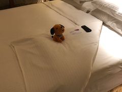 -西双版纳融创皇冠假日度假酒店