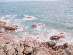 -广东惠东海龟国家级自然保护区