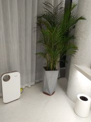 -优加东京秀烫染SALON