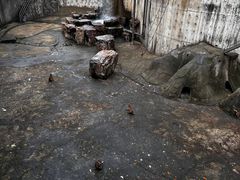 -无锡动物园·太湖欢乐园